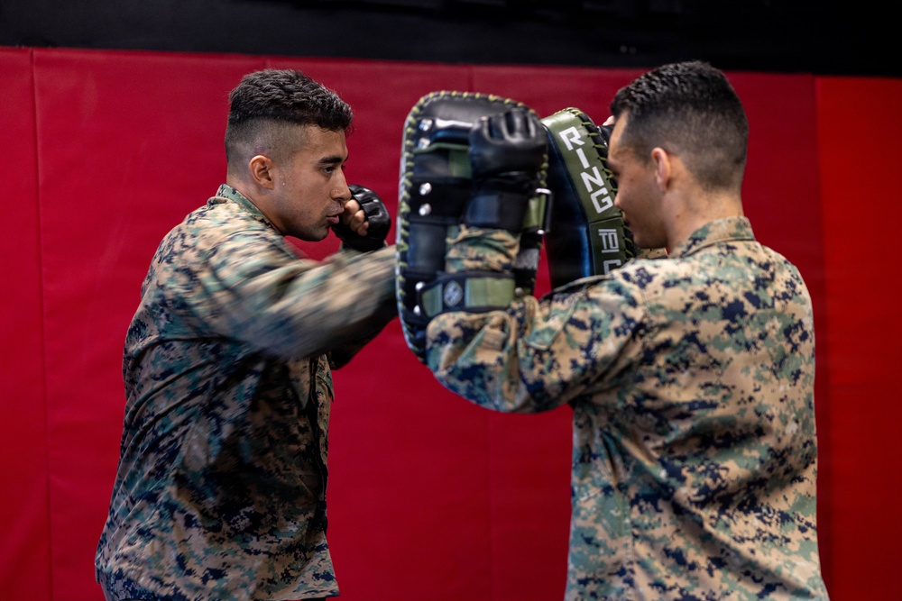 Marines participate in Marine Corps Martial Arts Program workshop