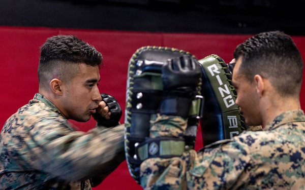 Marines participate in Marine Corps Martial Arts Program workshop