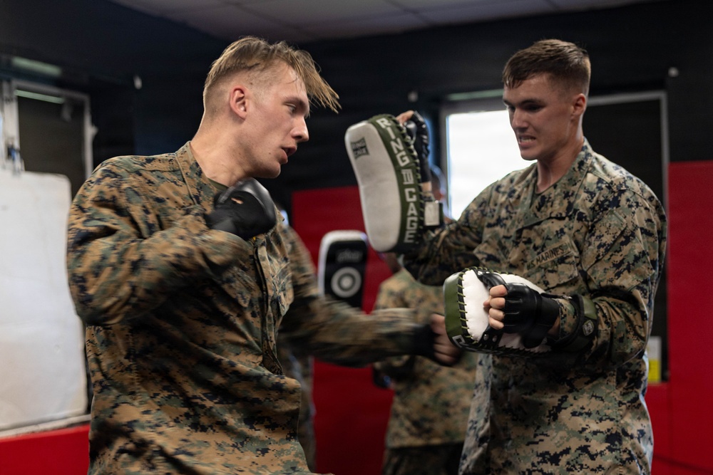 Marines participate in Marine Corps Martial Arts Program workshop