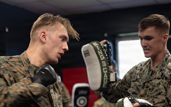 Marines participate in Marine Corps Martial Arts Program workshop