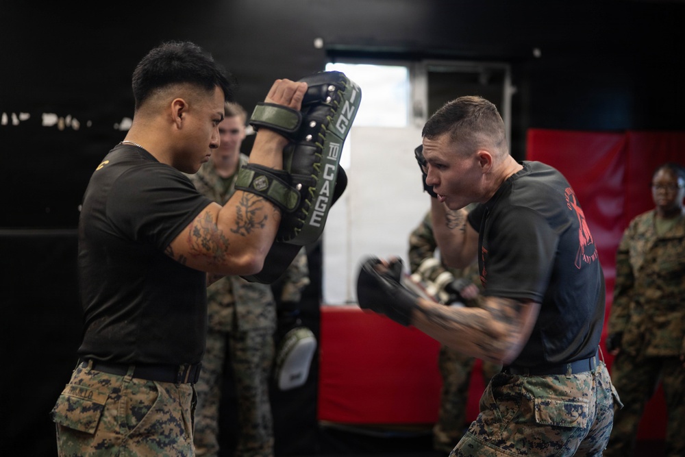 Marines participate in Marine Corps Martial Arts Program workshop