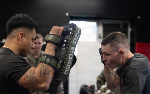 Marines participate in Marine Corps Martial Arts Program workshop