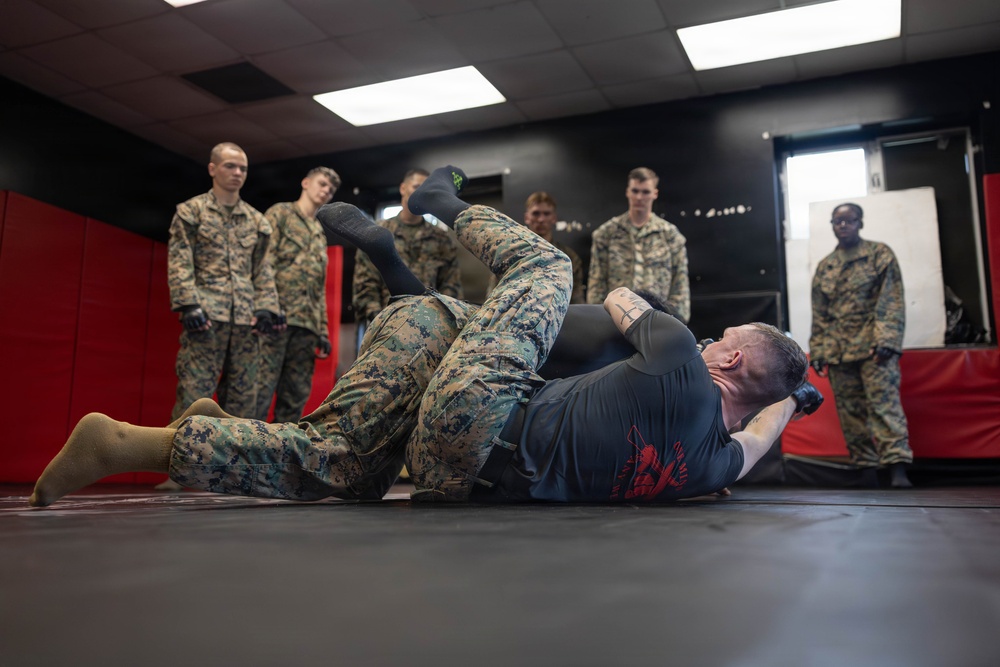 Marines participate in Marine Corps Martial Arts Program workshop