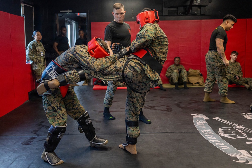 Marines participate in Marine Corps Martial Arts Program workshop
