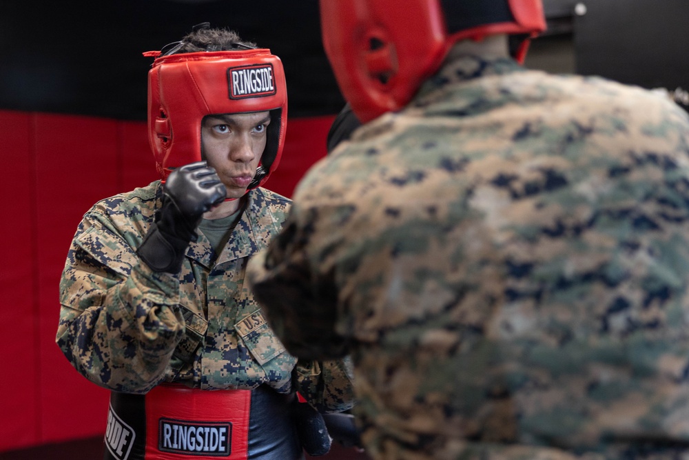 Marines participate in Marine Corps Martial Arts Program workshop