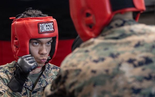 Marines participate in Marine Corps Martial Arts Program workshop