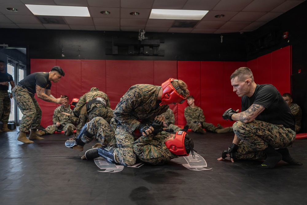Marines participate in Marine Corps Martial Arts Program workshop