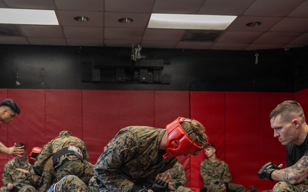 Marines participate in Marine Corps Martial Arts Program workshop