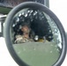 Kaiju Rain 26: 7th Communication Battalion Marines conduct field operations