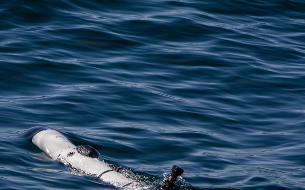 Multinational naval forces build maritime security, interoperability during African Lion 26