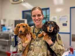 Bringing your pet to Okinawa: What to expect and who’s here to help