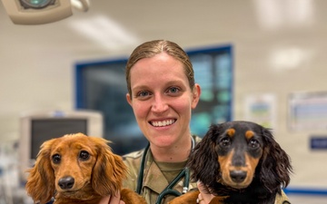 Bringing your pet to Okinawa: What to expect and who’s here to help