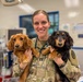 Bringing your pet to Okinawa: What to expect and who’s here to help