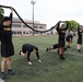 Two Birds, One Stone: Grit Meets Readiness