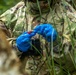 3rd Med Bn Preventative Medicine Joint Training