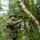 3rd Med Bn Preventative Medicine Joint Training 3rd Med Bn Preventative Medicine Joint Training