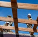 797th EVCC Supports Roofing Mission in Saipan