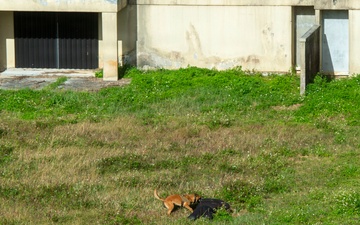 Embassy Defense Drill