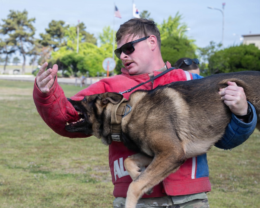 Defensor Fortis: Police Week opening ceremony with Wolf Pack SFS