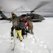 Alaska Air and Army National Guardsmen partner with Coast Guard and civilian rescue personnel during SAREX 2026