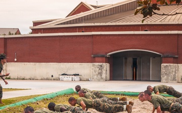 Alpha Company Incentive Training