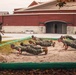 Alpha Company Incentive Training