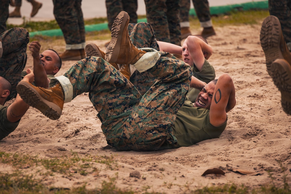 Alpha Company Incentive Training