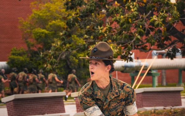 Alpha Company Incentive Training
