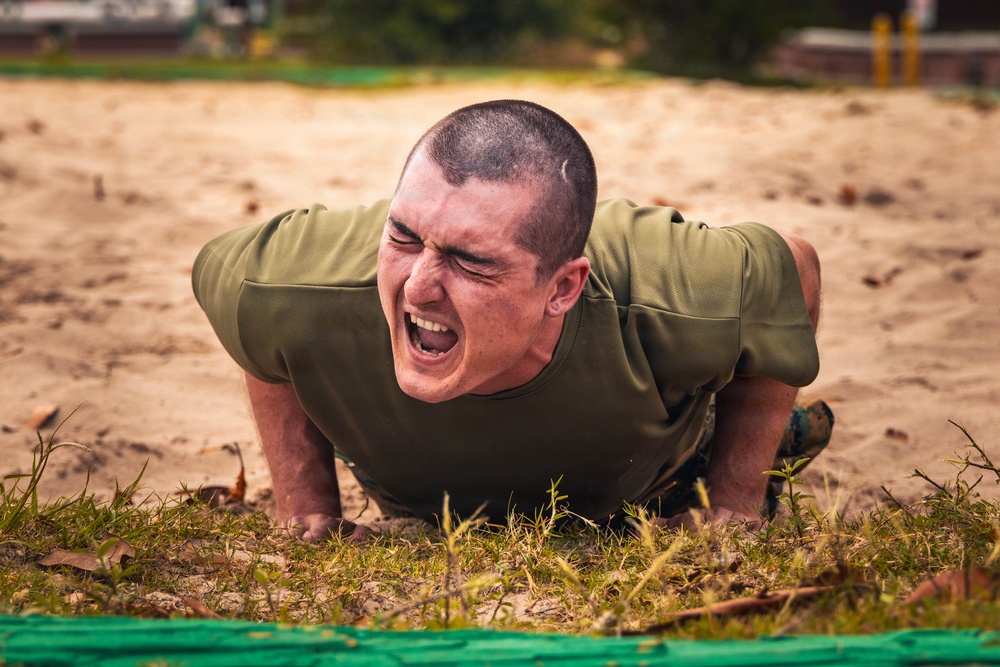 Alpha Company Incentive Training