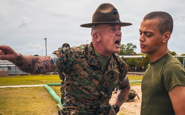 Alpha Company Incentive Training