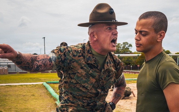 Alpha Company Incentive Training