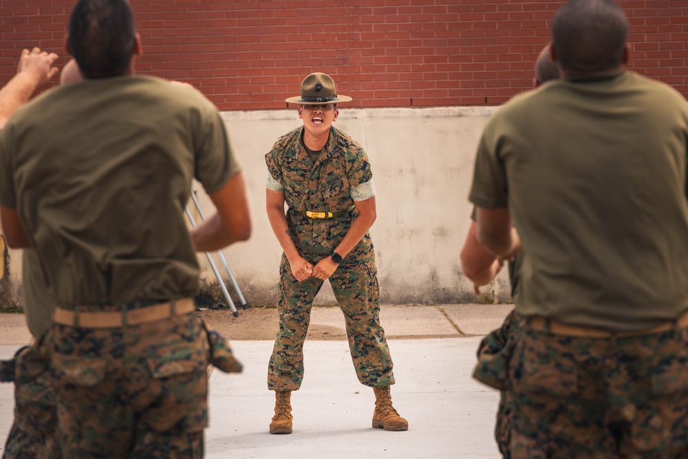 Alpha Company Incentive Training