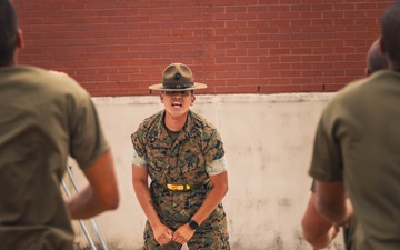 Alpha Company Incentive Training