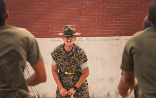 Alpha Company Incentive Training