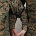USMC Stock Photos
