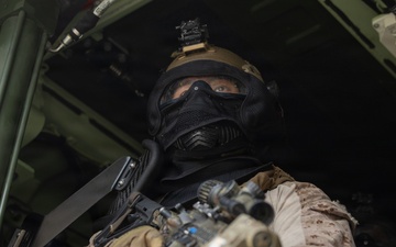 1st Battalion, 8th Marines Conducts MOUT Training