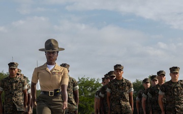 Hotel Company Initial Drill