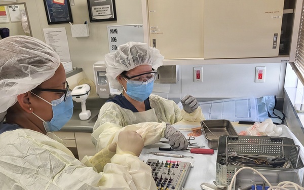 Kadena Dental Clinic Opens Doors for Military Spouses