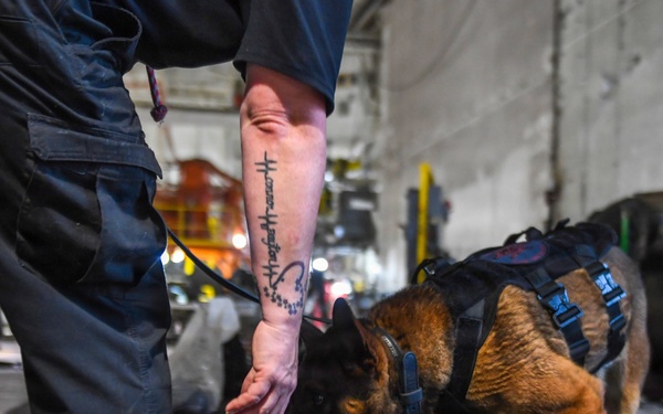 USS John C Stennis (CVN 74) holds K-9 Bag inspections