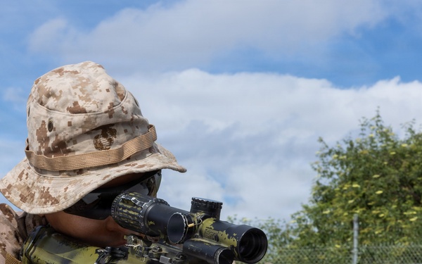 BLT 2/4 participate in a Mechanized Raid