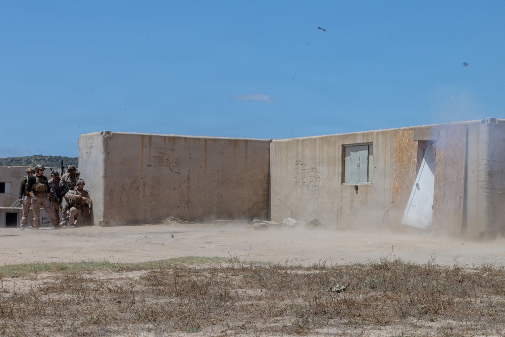 BLT 2/4 participate in a Mechanized Raid