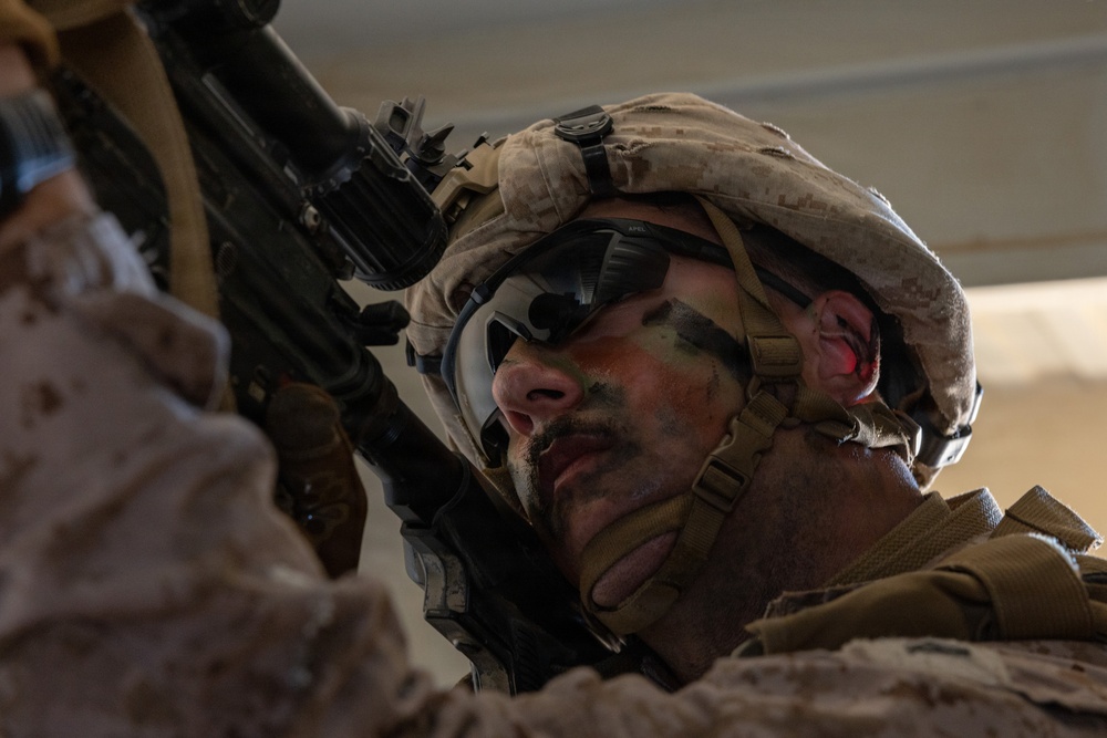 BLT 2/4 participate in a Mechanized Raid