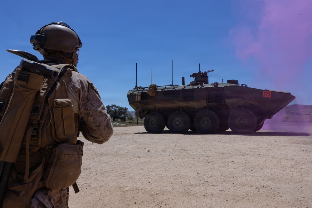 BLT 2/4 participate in a Mechanized Raid