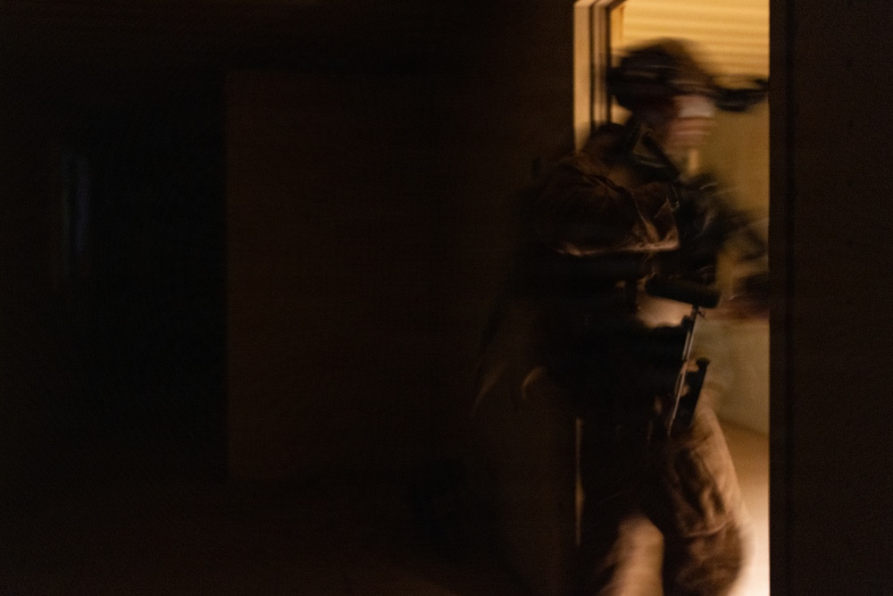 BLT 2/4 participate in a Night Mechanized Raid