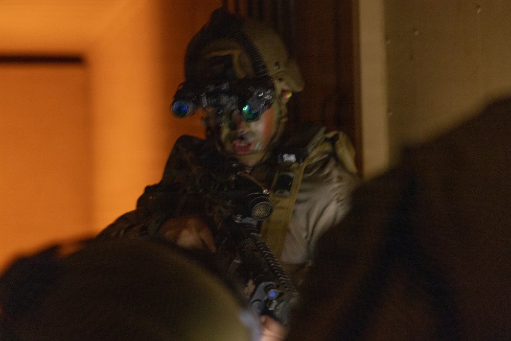 BLT 2/4 participate in a Night Mechanized Raid