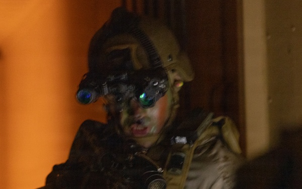 BLT 2/4 participate in a Night Mechanized Raid