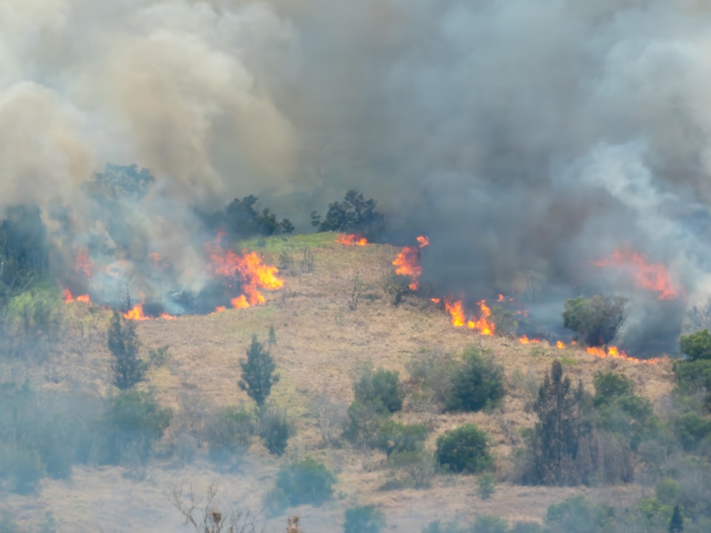 2026 Schofield Barracks Prescribed Burn