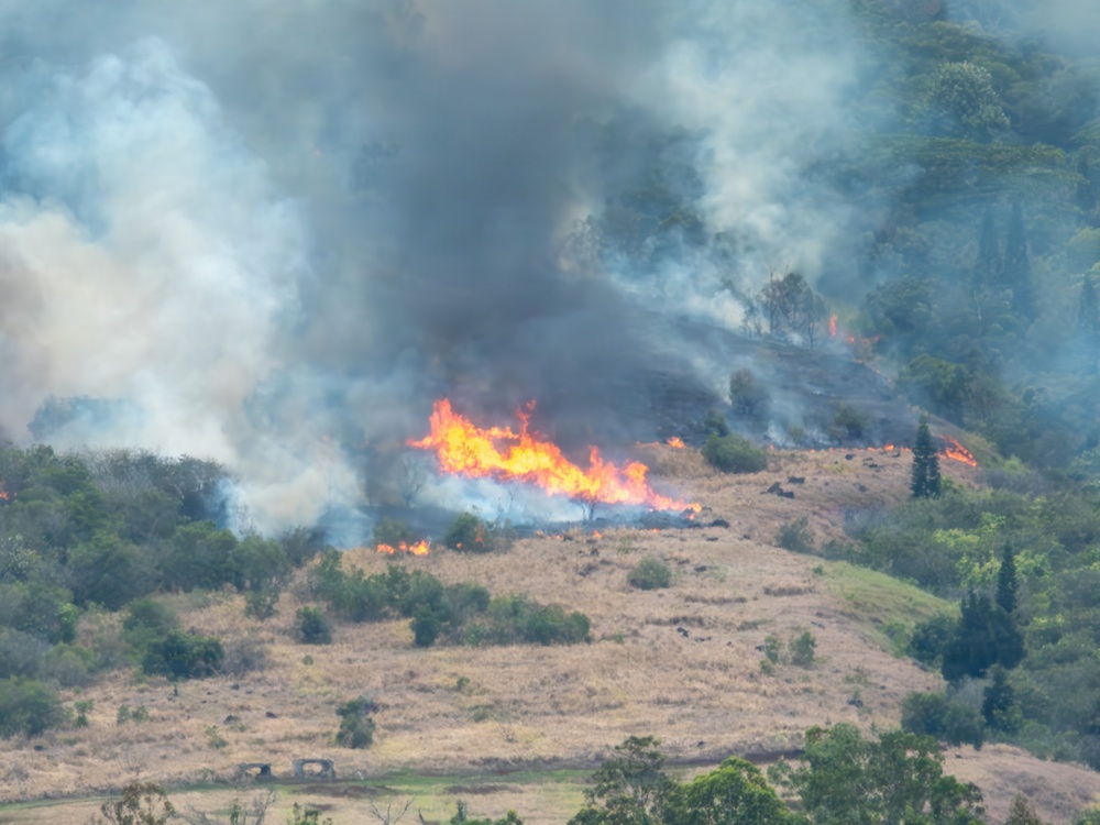 2026 Schofield Barracks Prescribed Burn