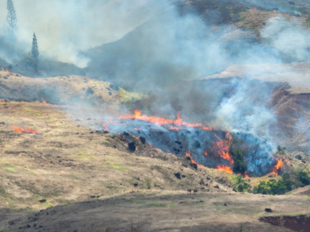 2026 Schofield Barracks Prescribed Burn