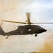 U.S. Army Soldiers conduct MEDEVAC training with 3rd Infantry Division